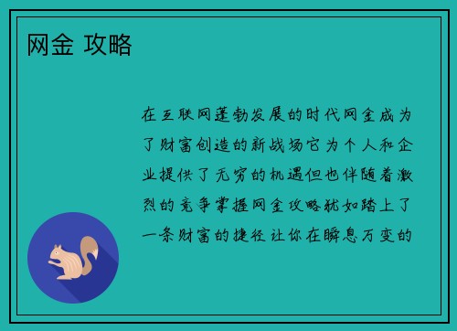 网金 攻略